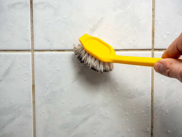 Best Home Mold Removal  in Stratford, NJ