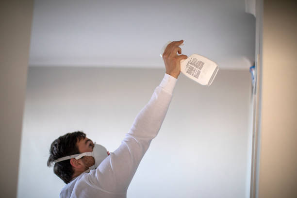 Best Attic Mold Removal  in Stratford, NJ