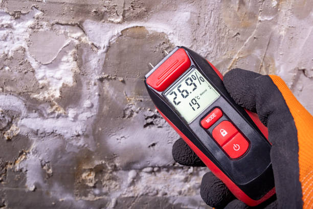 Professional Mold Removal in Stratford, NJ