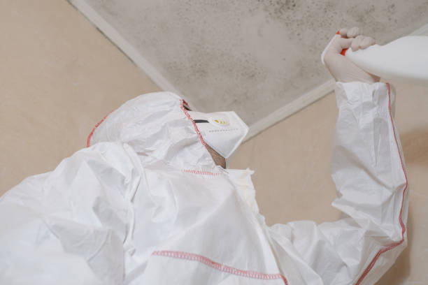 Best Office Mold Removal Services  in Stratford, NJ